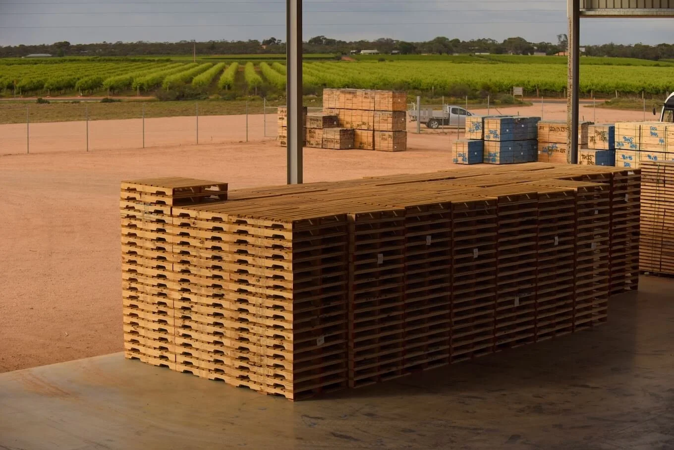 Stacks of wooden pallets on a table at a construction site, with a dirt lot and a green vineyard in the background.