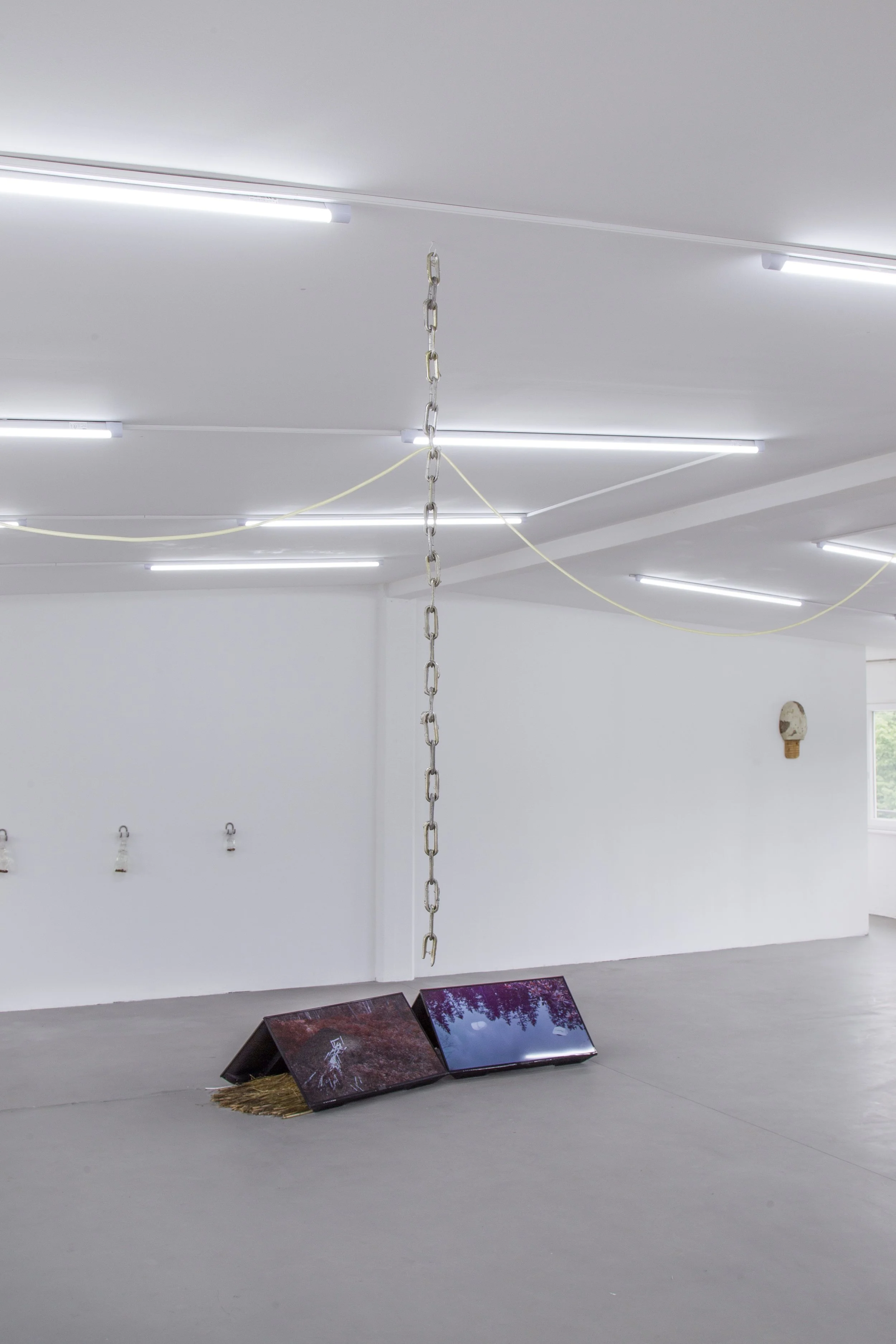 OVER ME_WETLANDS_MP_EXG_006.JPG