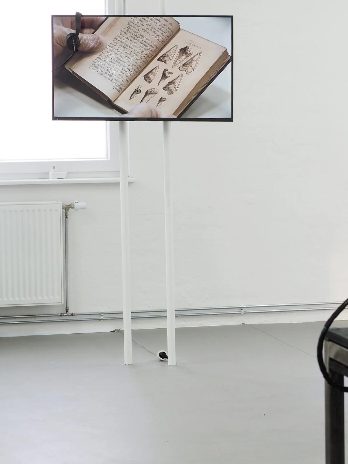 Press release text, Curator, "Die Versteinerten" exhibition, Esteban Rivera Ariza & Aaike Stuart