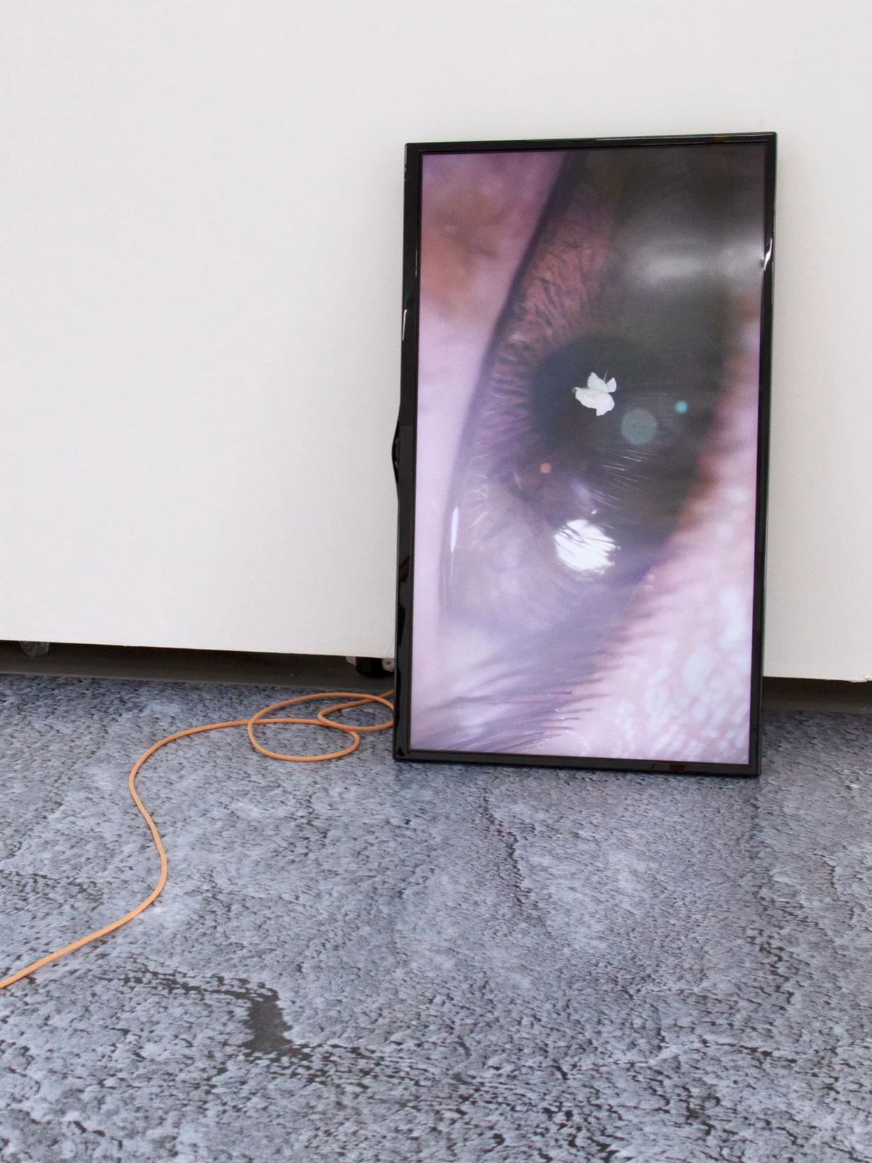 Press release text, Curator, "most of all, don't go into the forest" exhibition, Magdalena Lazar & Michalina Bigaj