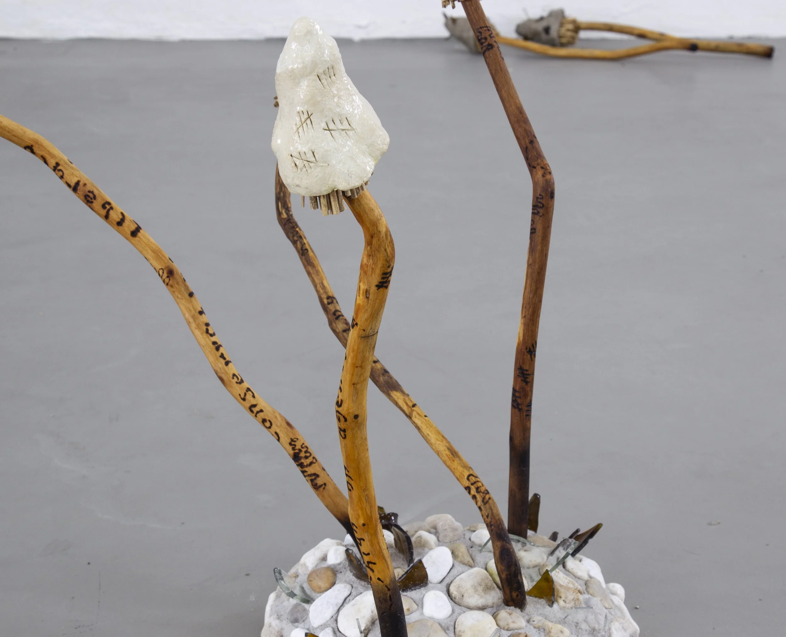 HIBERNACULUM(moth 1 & 2)_WETLANDS_MP_EXG_002.JPG