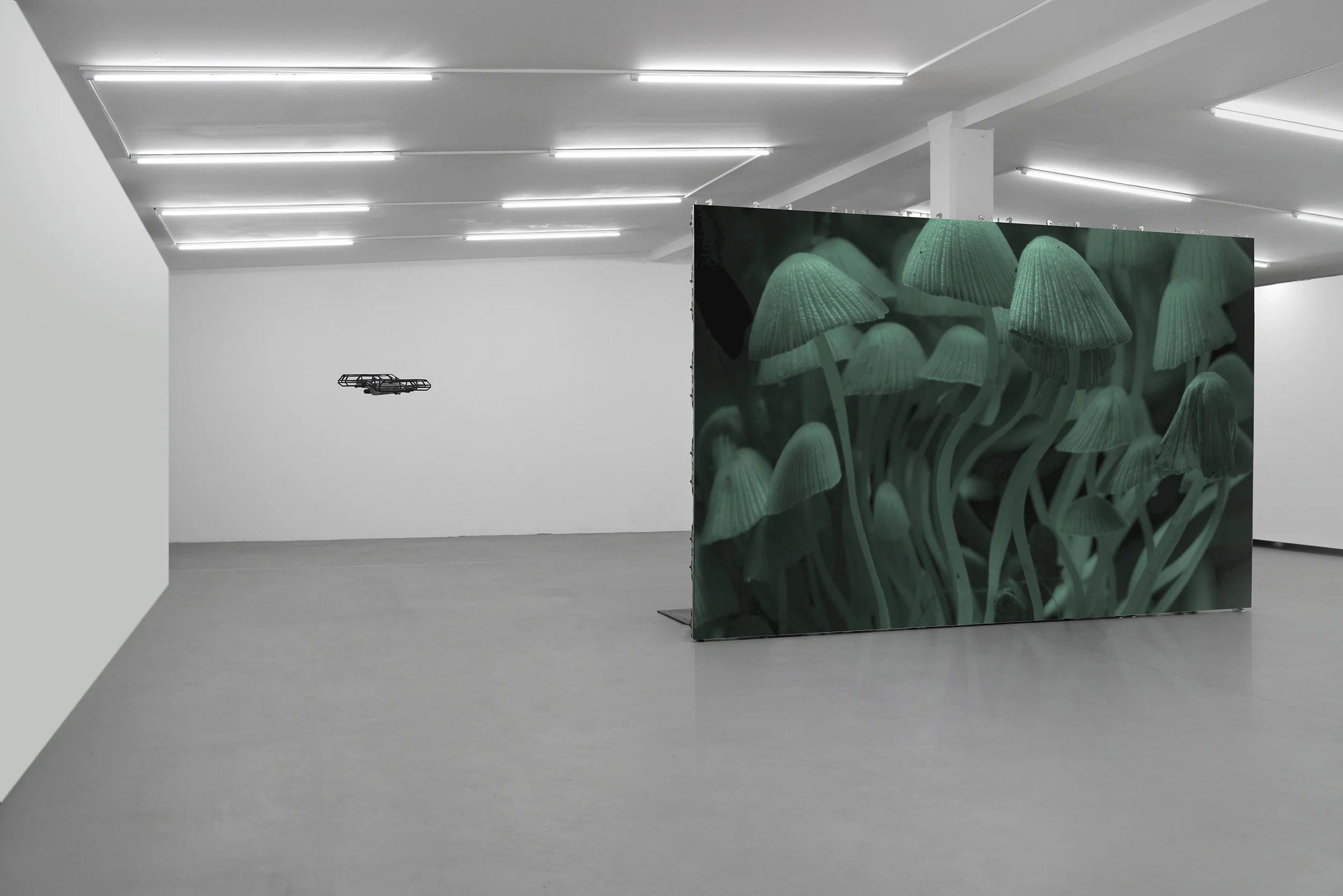 02. Heavven. Adaptasi Cycle. MIt Borras.jpg