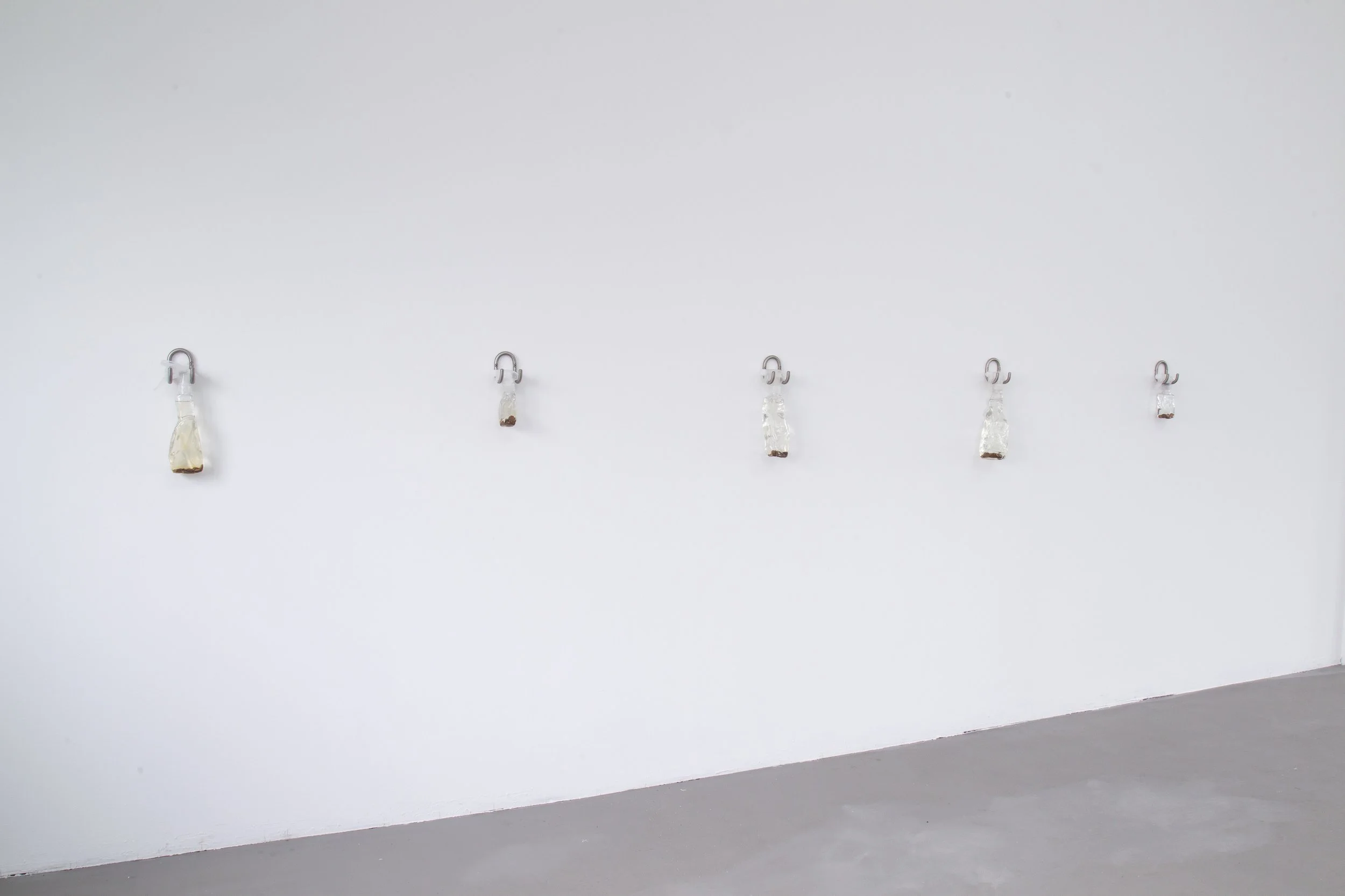 MANURE FROM MONEY_WETLANDS_MP_EXG_006.JPG