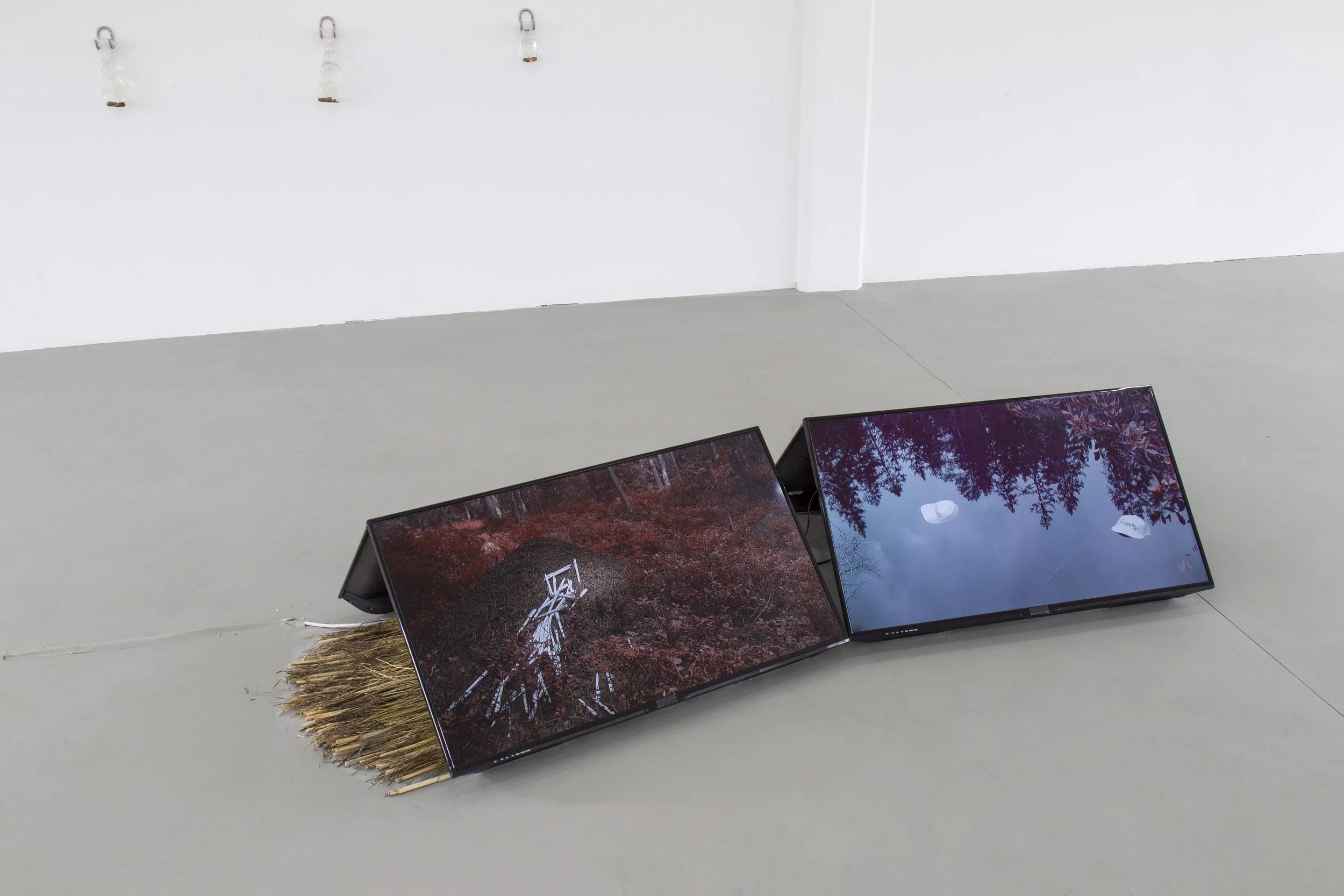 no reflectionNATURE AS HISTORY_WETLANDS_MP_EXG_003 copy.jpg