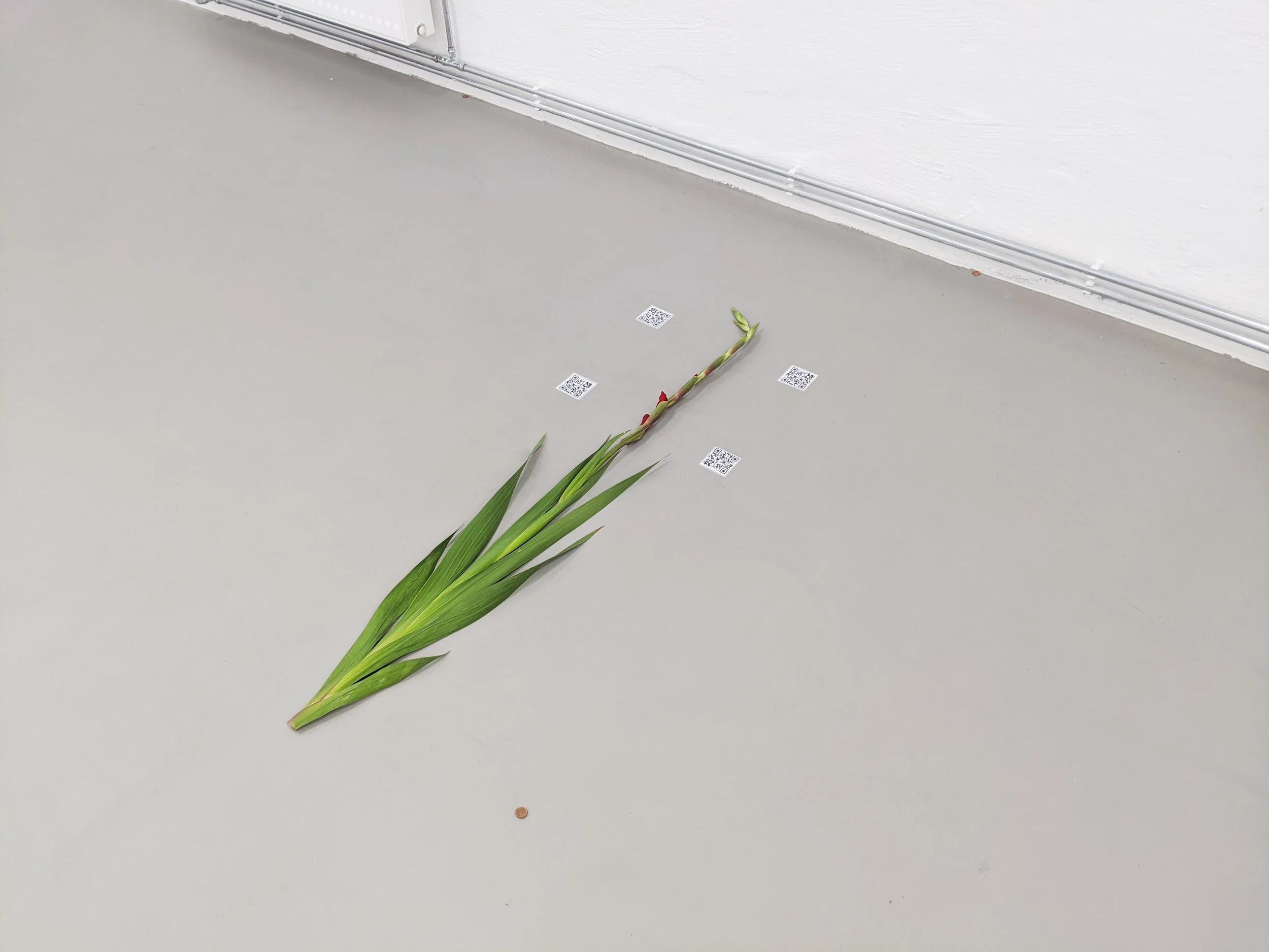 Press release text, Curator, "Slender Axes", Fiona Valentine Thomann.