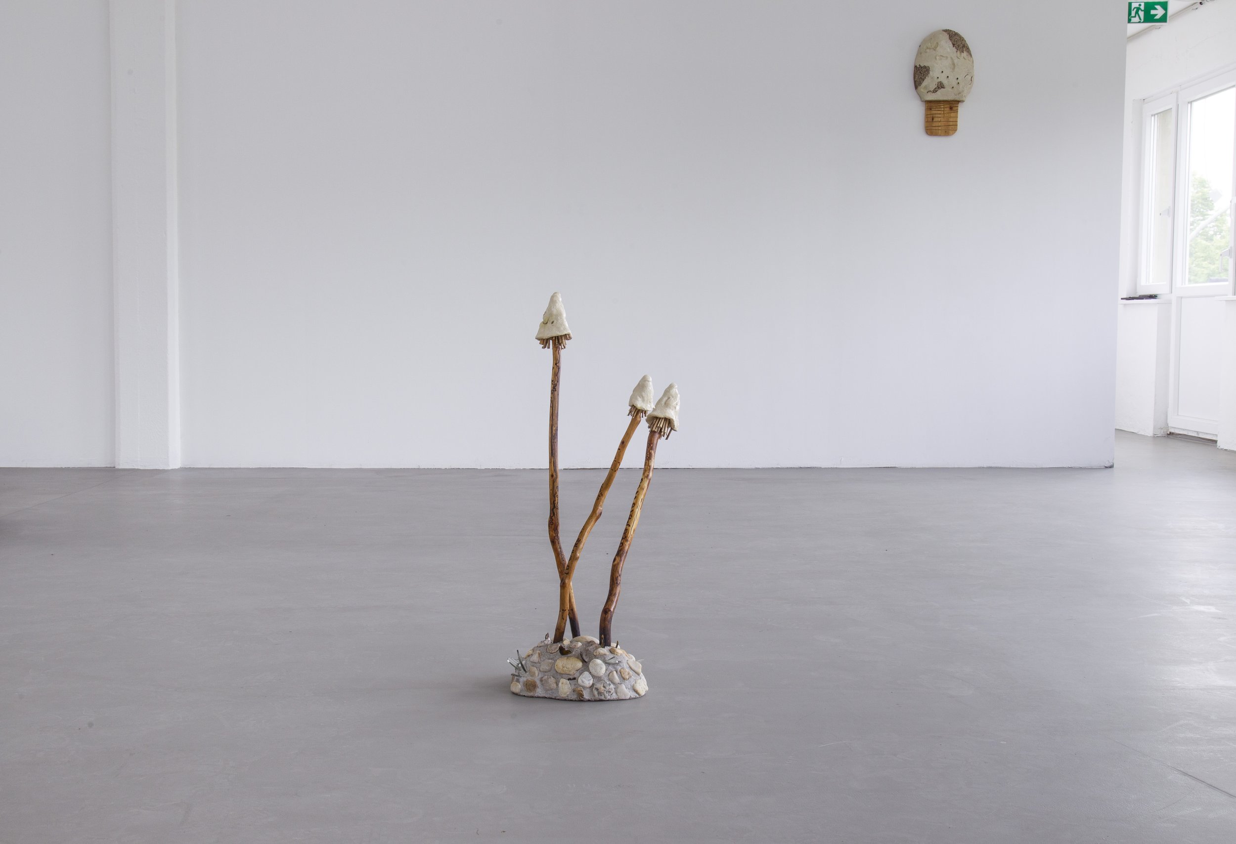 HIBERNACULUM(moth 1 & 2)_WETLANDS_MP_EXG_004.JPG