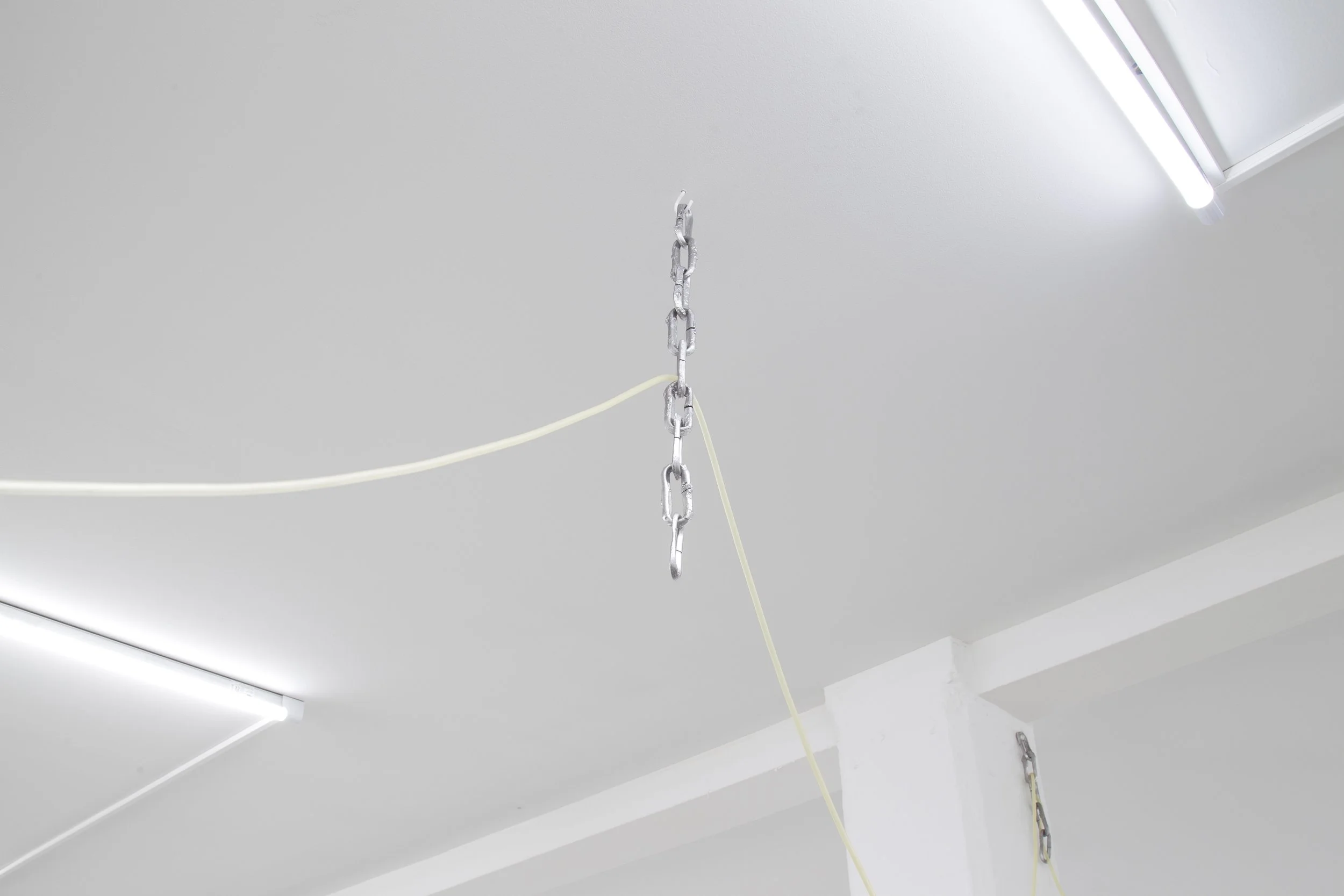 OVER ME_WETLANDS_MP_EXG_007.JPG