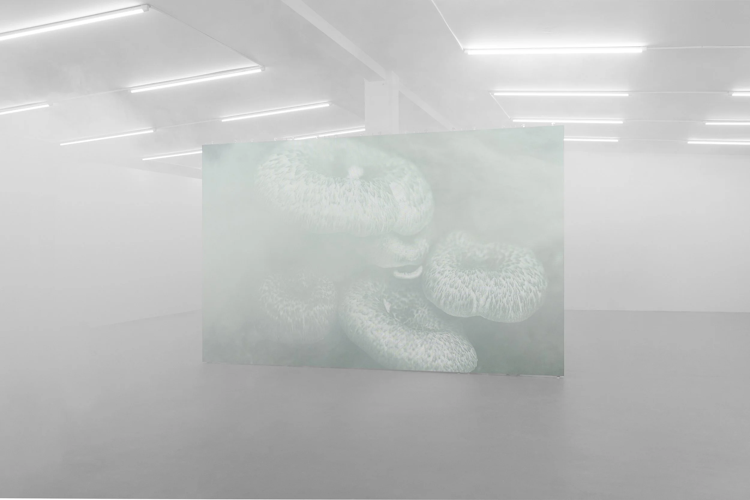 021. Heavven. Adaptasi Cycle. MIt Borras.jpg