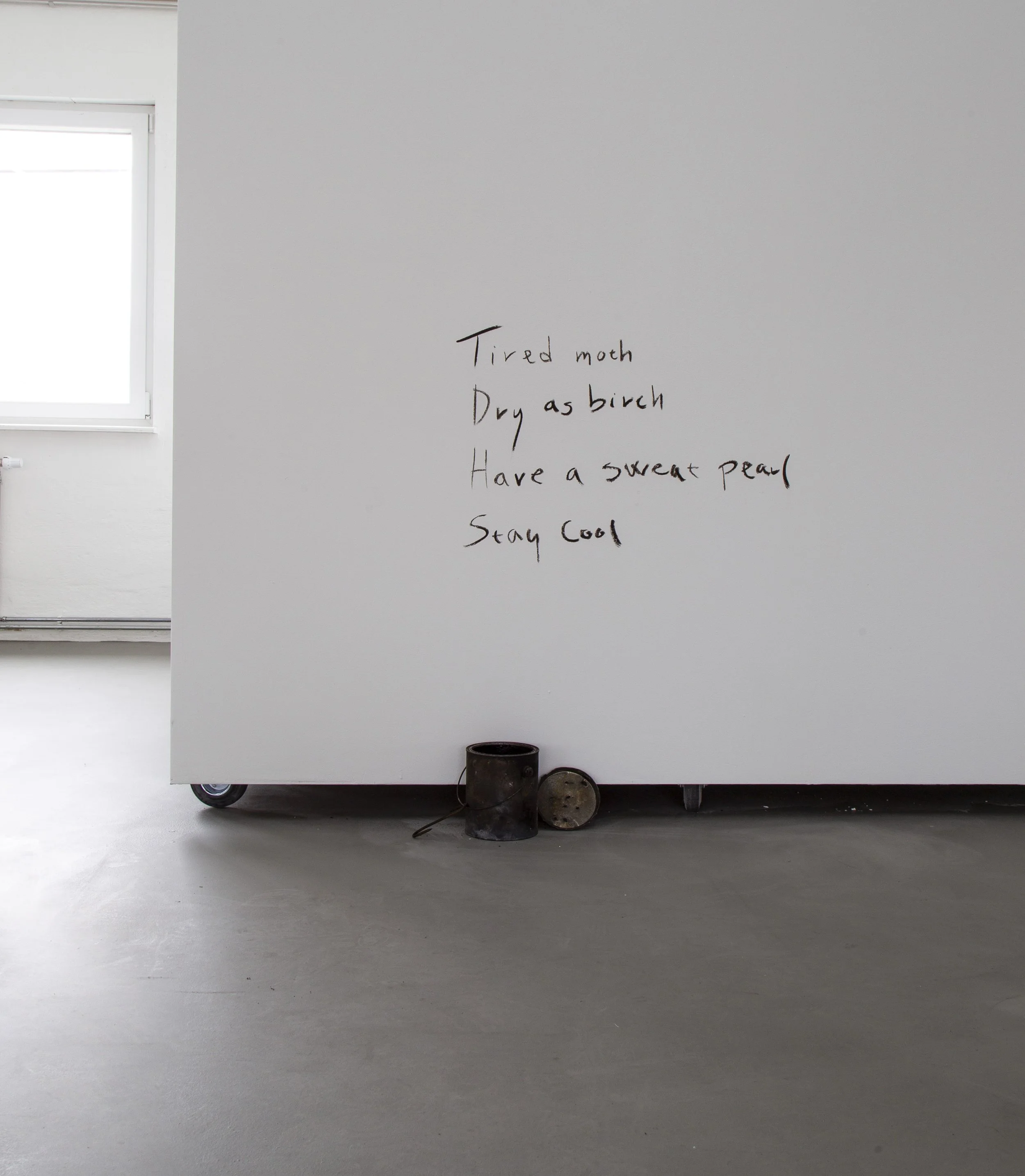 TIRED MOTH_WETLANDS_MP_EXG_001.JPG