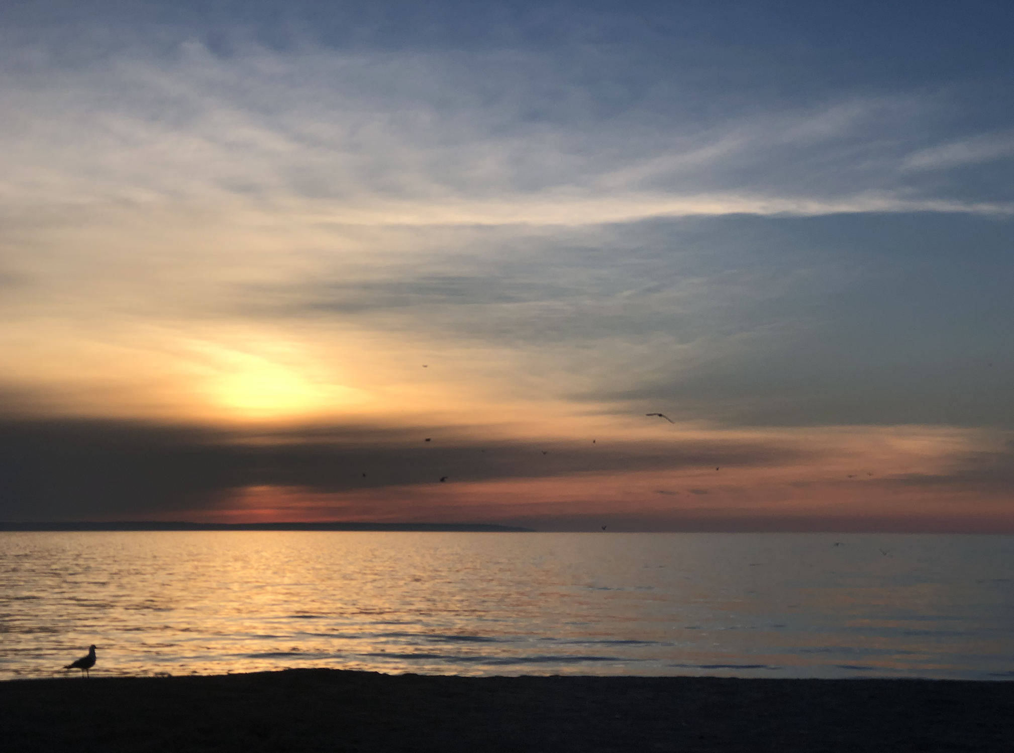 Bohemian_sunset.png