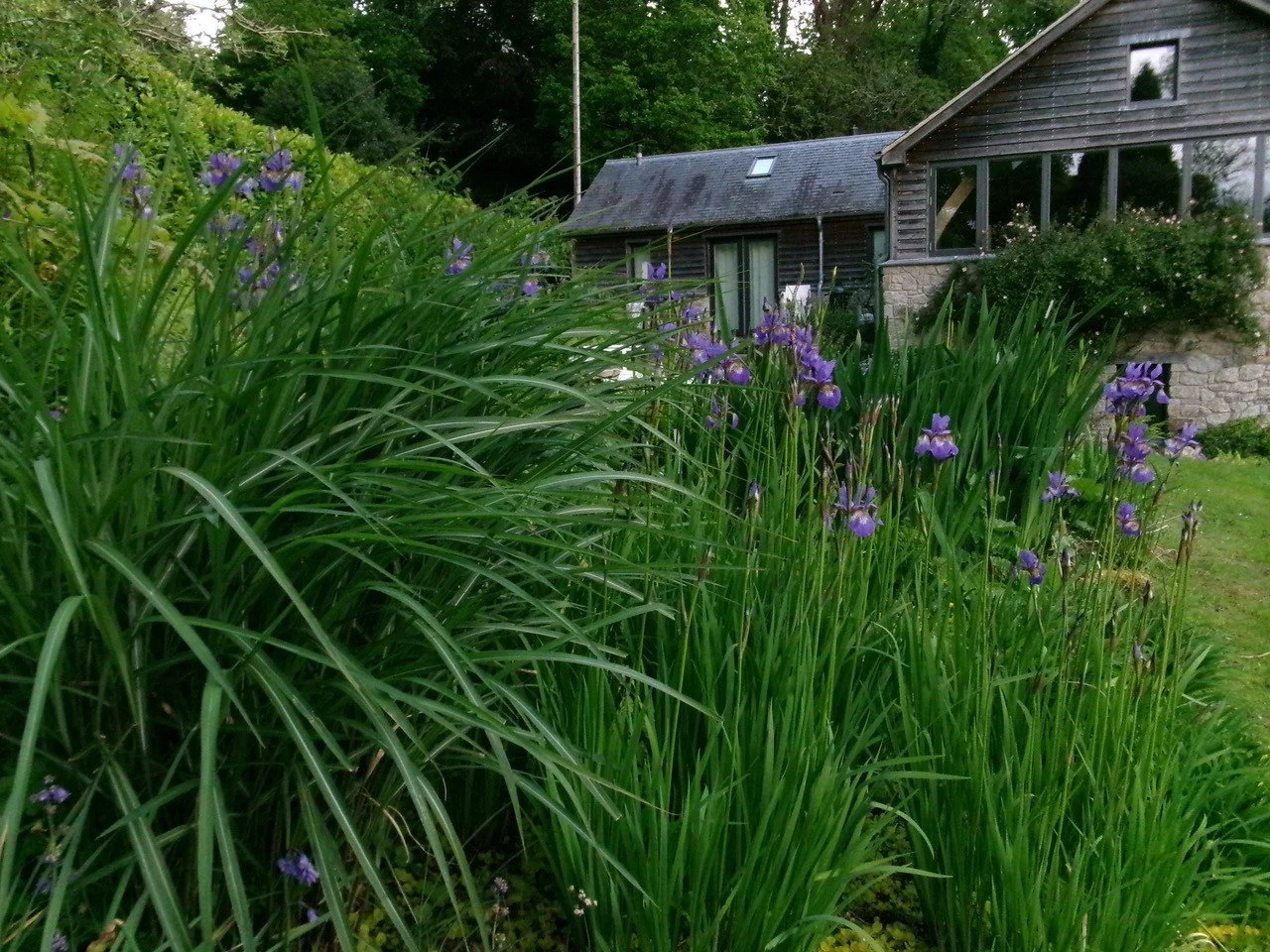 Always good to receive photos of past projects ... especially when they look this good! 

The landscape design for this replacement house on Dartmoor makes it look like it's set within a mature garden and has been there for years, when in reality thi