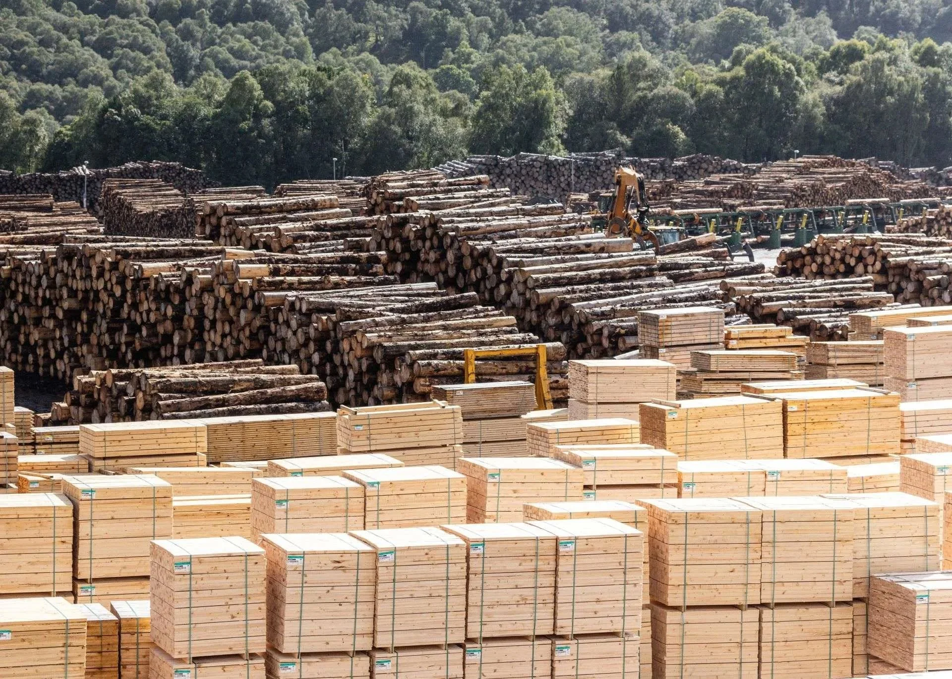 Interested in learning more about the timber we use ?
Our Scottish architect, Peter Smith explains absolutely everything in this webinar series hosted by TDUK &ndash; first one is Wednesday 3rd June &ndash; free to register and attend.
https://timber