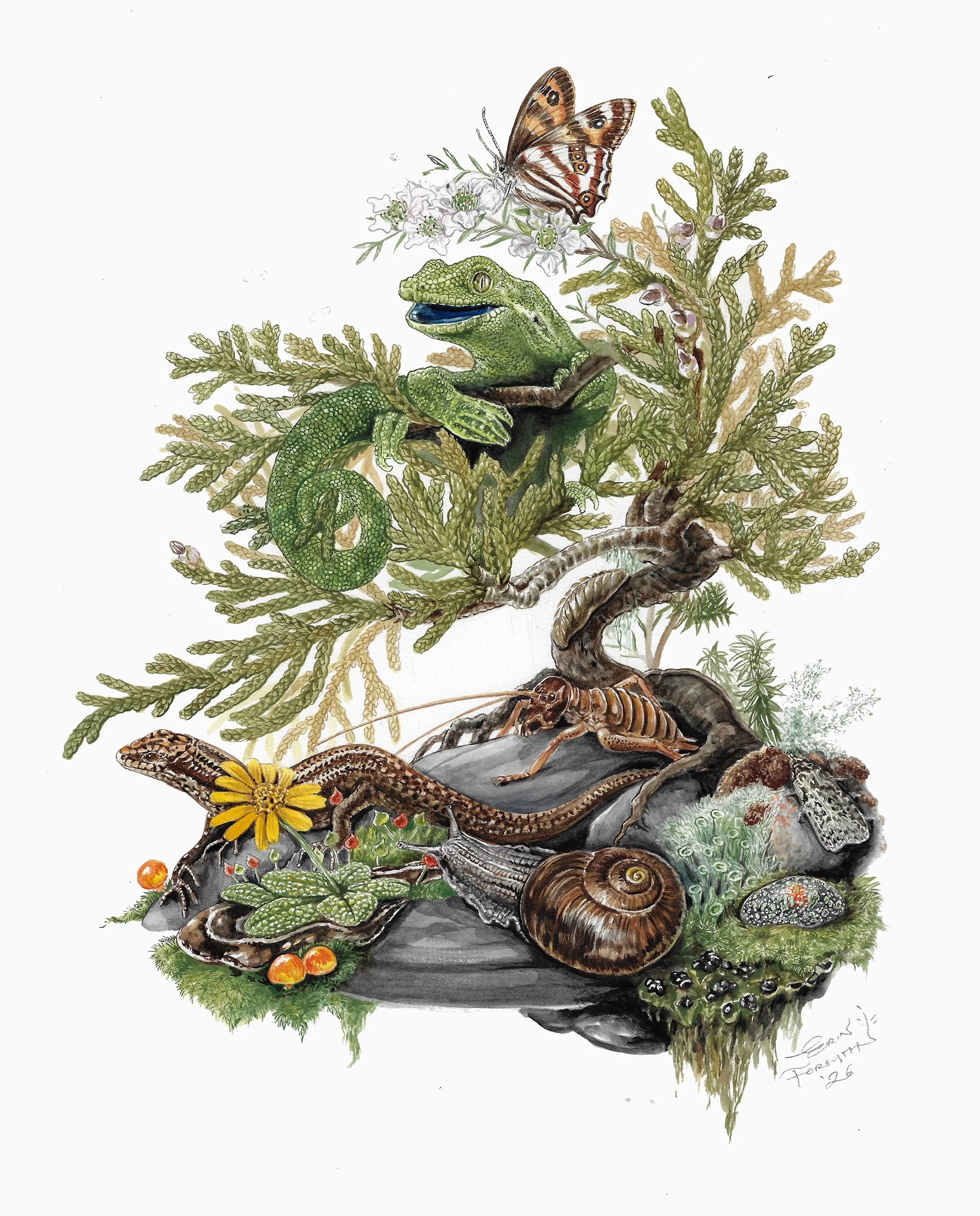 Protect the Denniston Plateau enhanced Erin Forsyth LR web.jpg