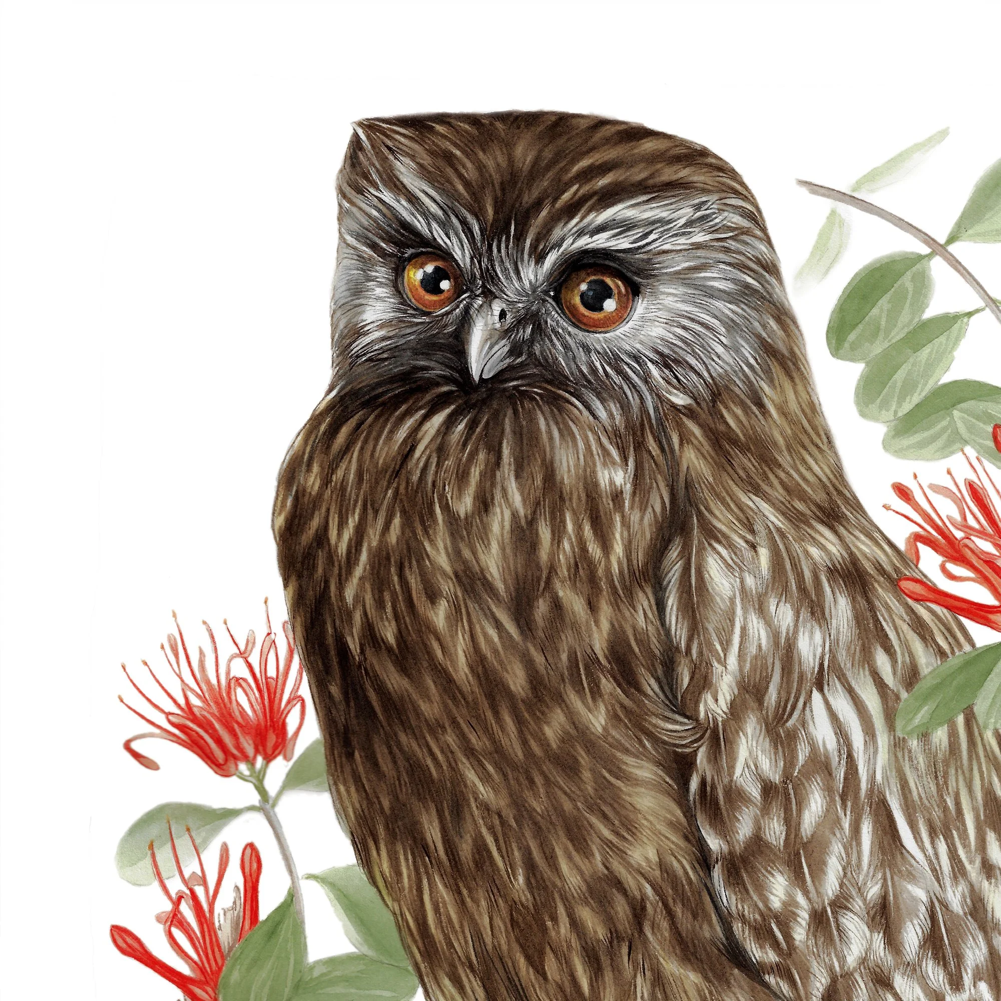 Whekau extinct native nz bird art print detailpsd.jpg