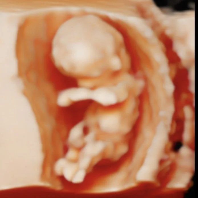 Close-up of a rolled slice of bacon with melted cheese inside.