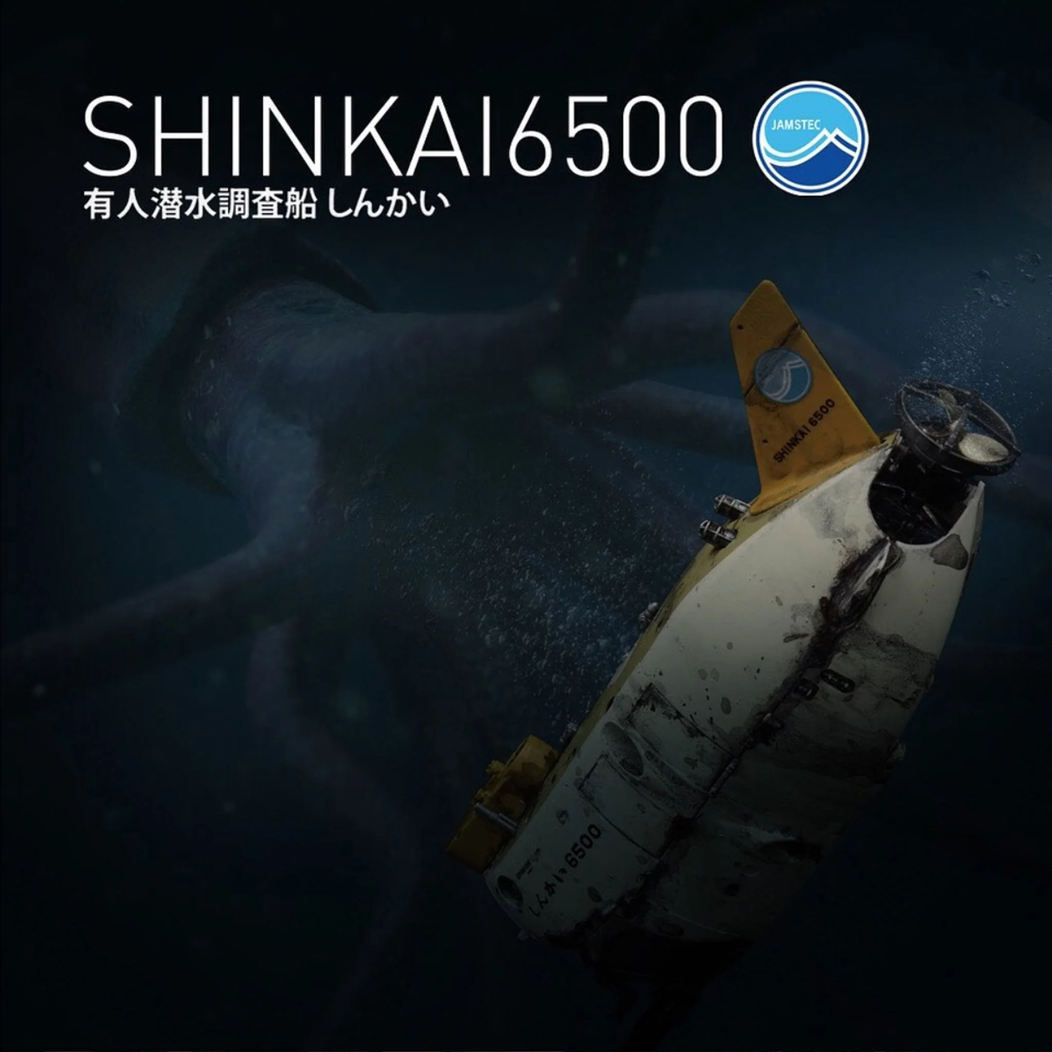 Maas Shinkai 6500 3.jpg