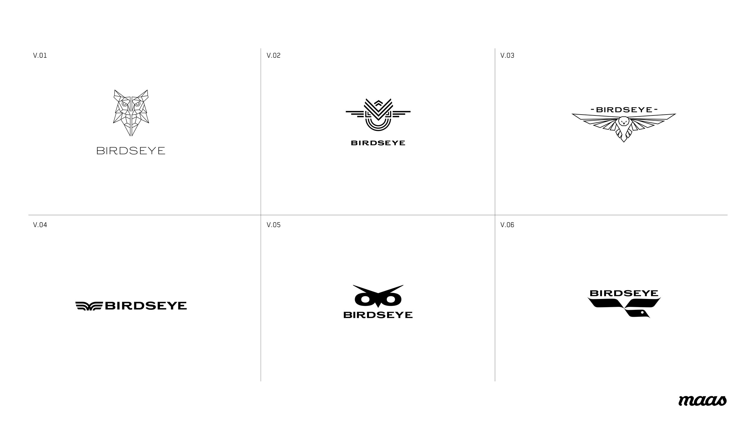 Maas_BirdsEye_Logo_Presentation_v26.jpg