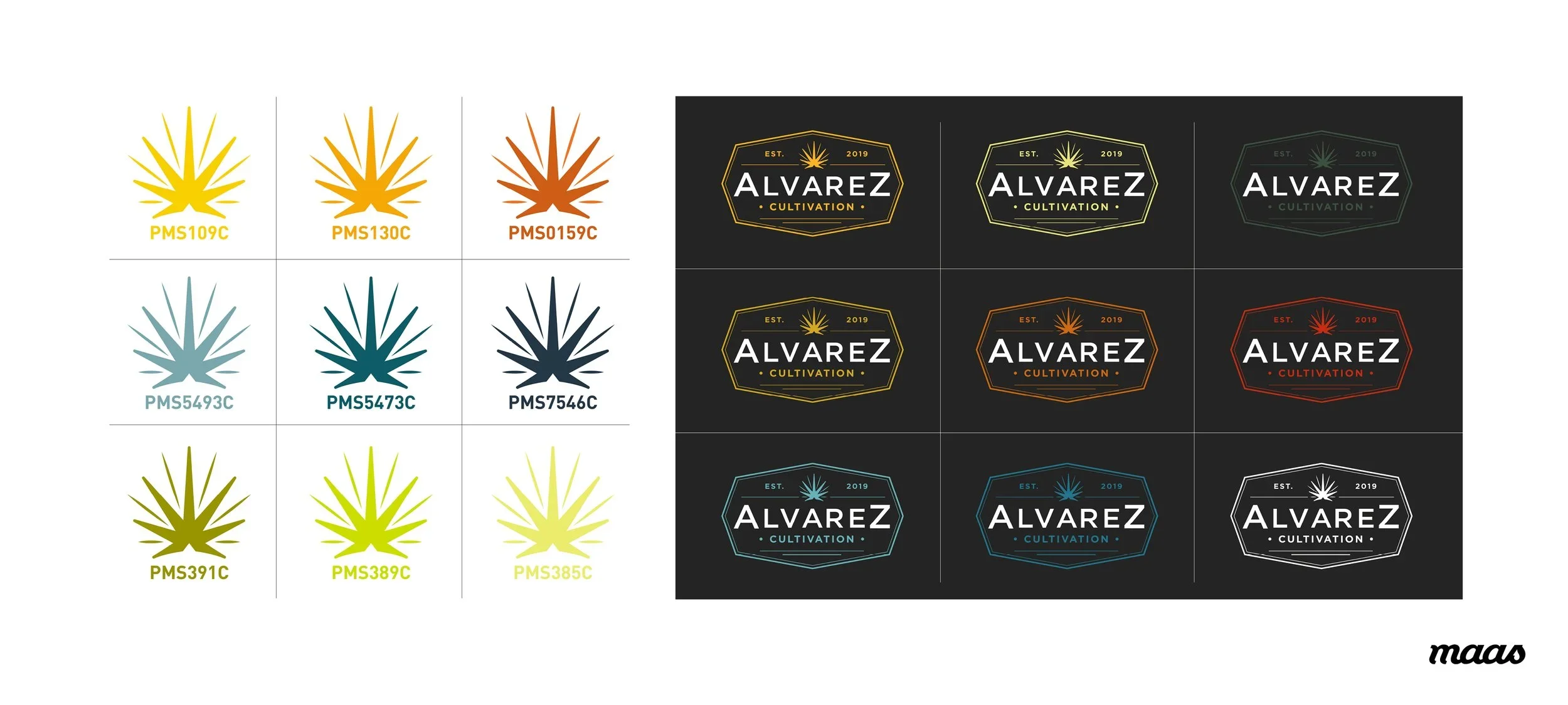 Maas_Design_Alvarez2.webp
