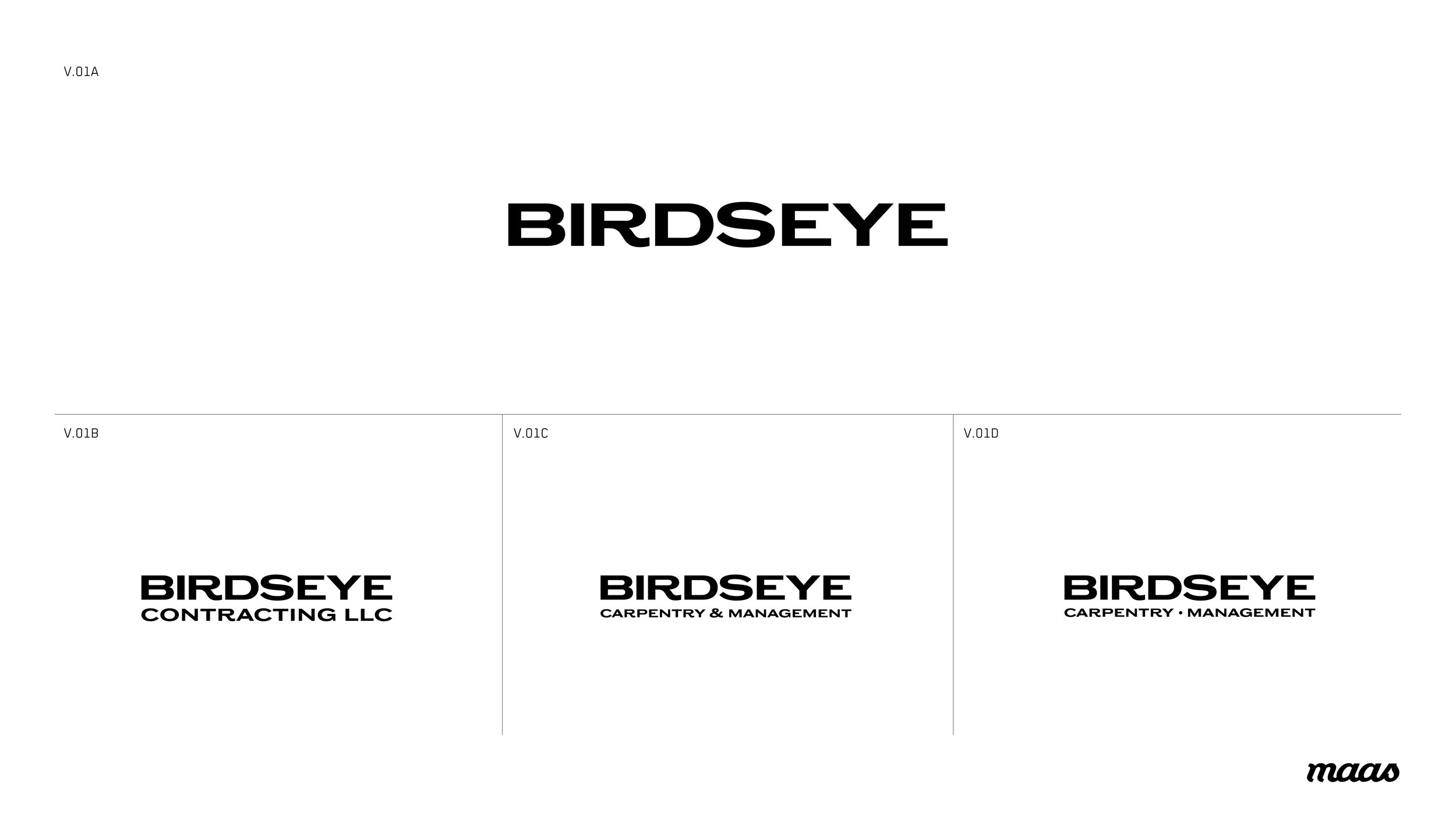 Maas_Birdseye_Logos_v1.jpg
