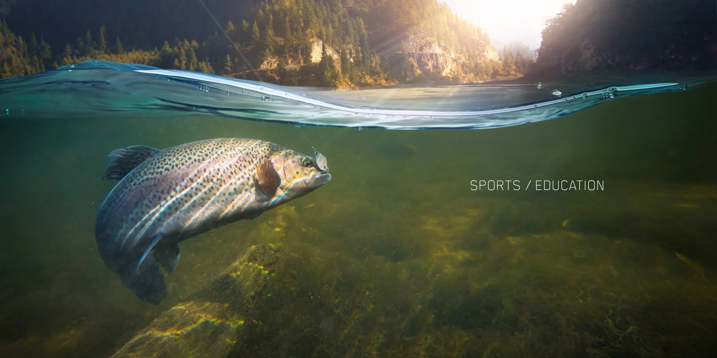 Maas Design Co Workbook 2026 _V0265.jpg