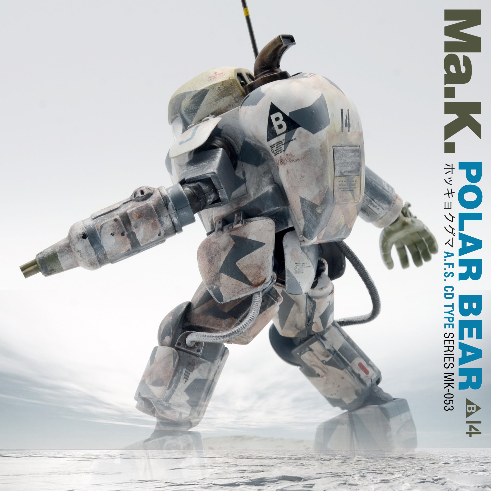 polar_4.jpg