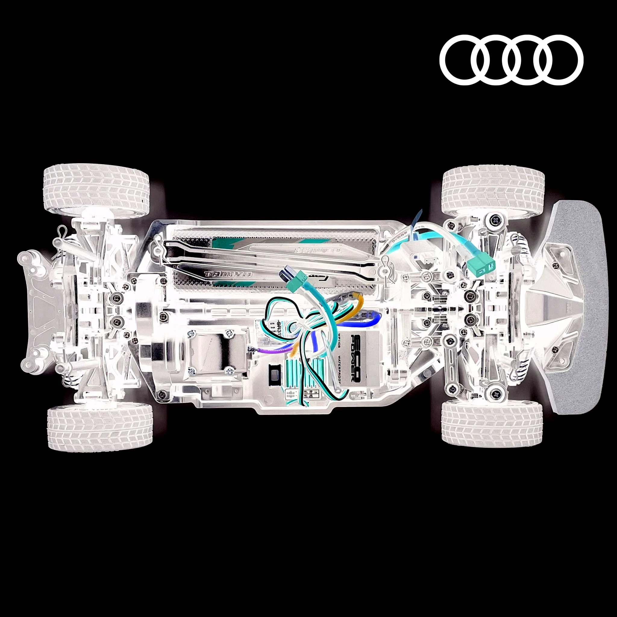Maas_Audi-Rally_5.jpg