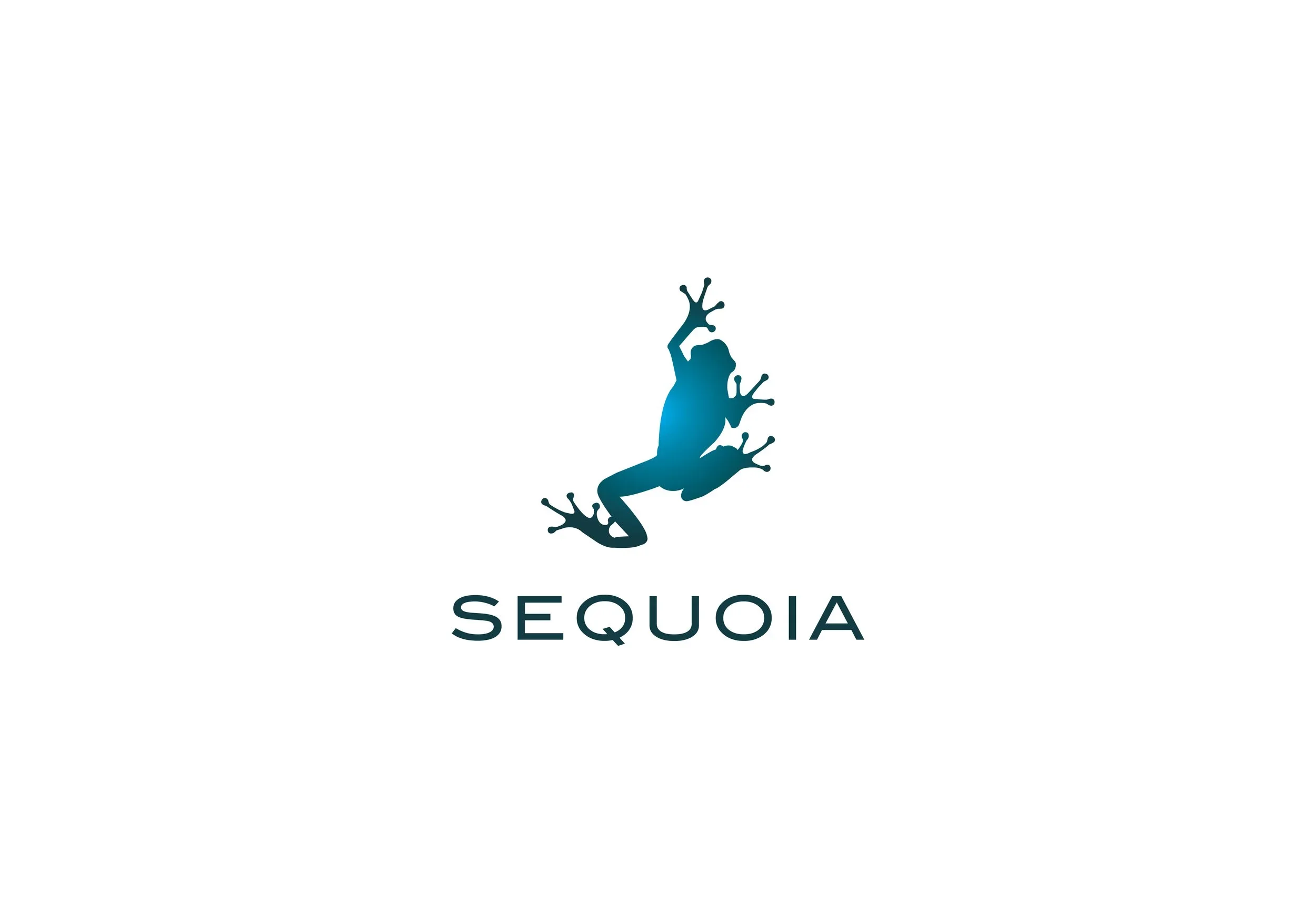 maas_design_sequoia_logo_2.webp