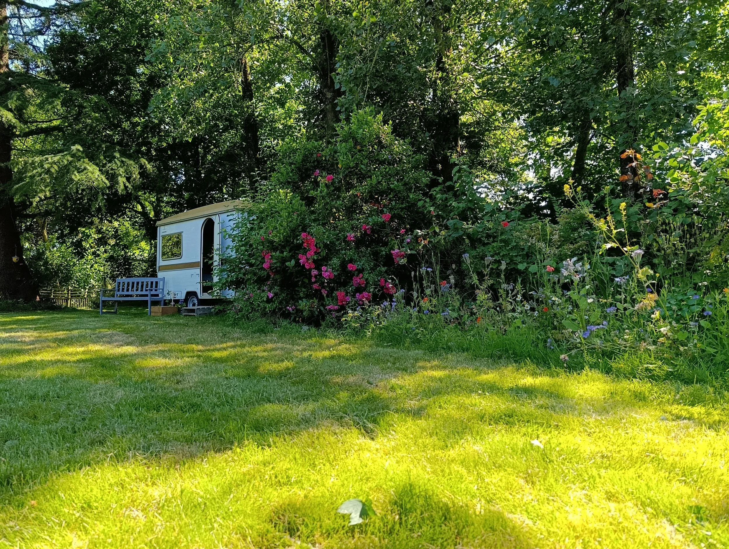 IMG_20260617_170701.jpg