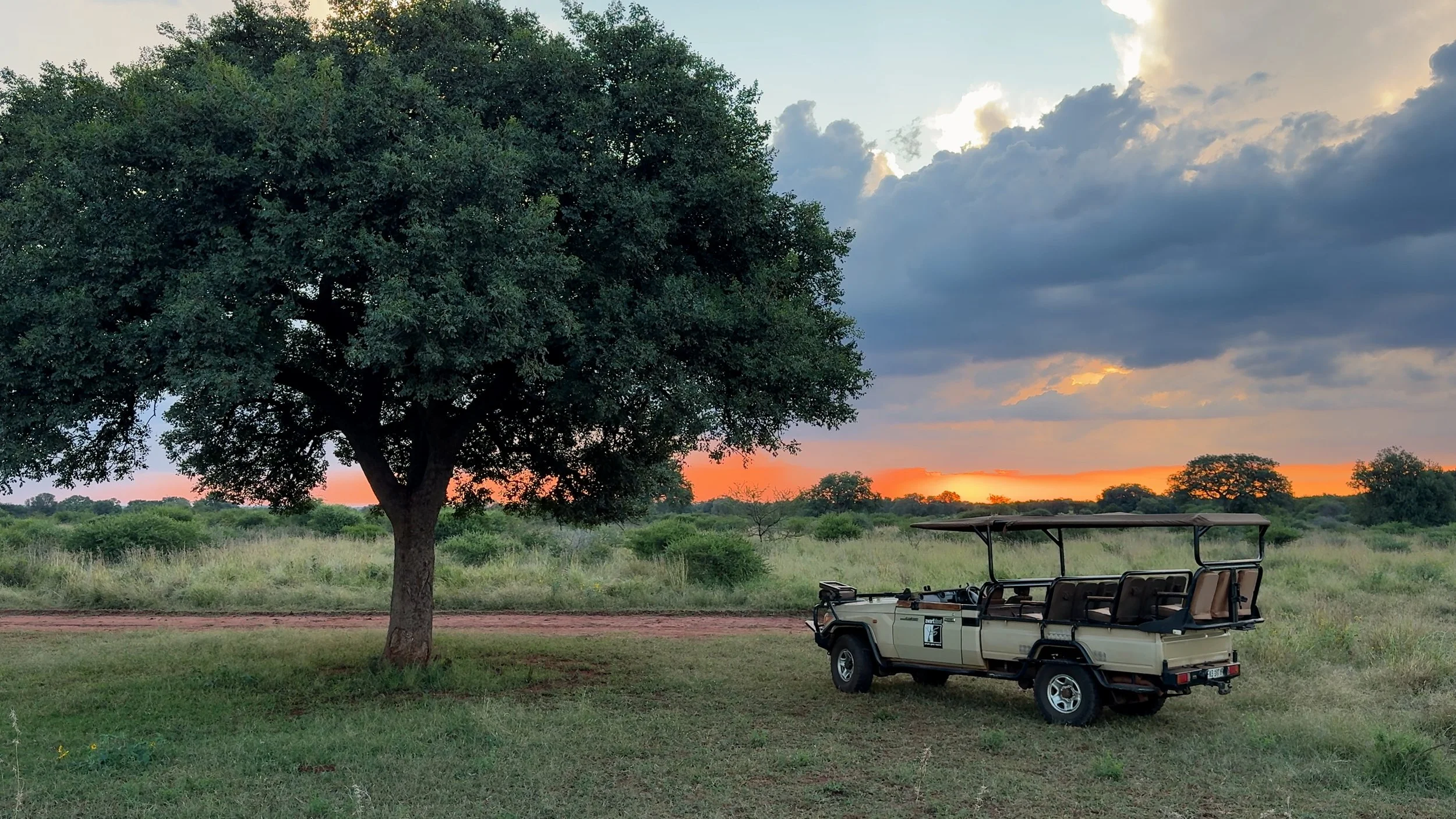 A safari vehicle parked on the grass near a large tree during sunset with a partly cloudy sky.