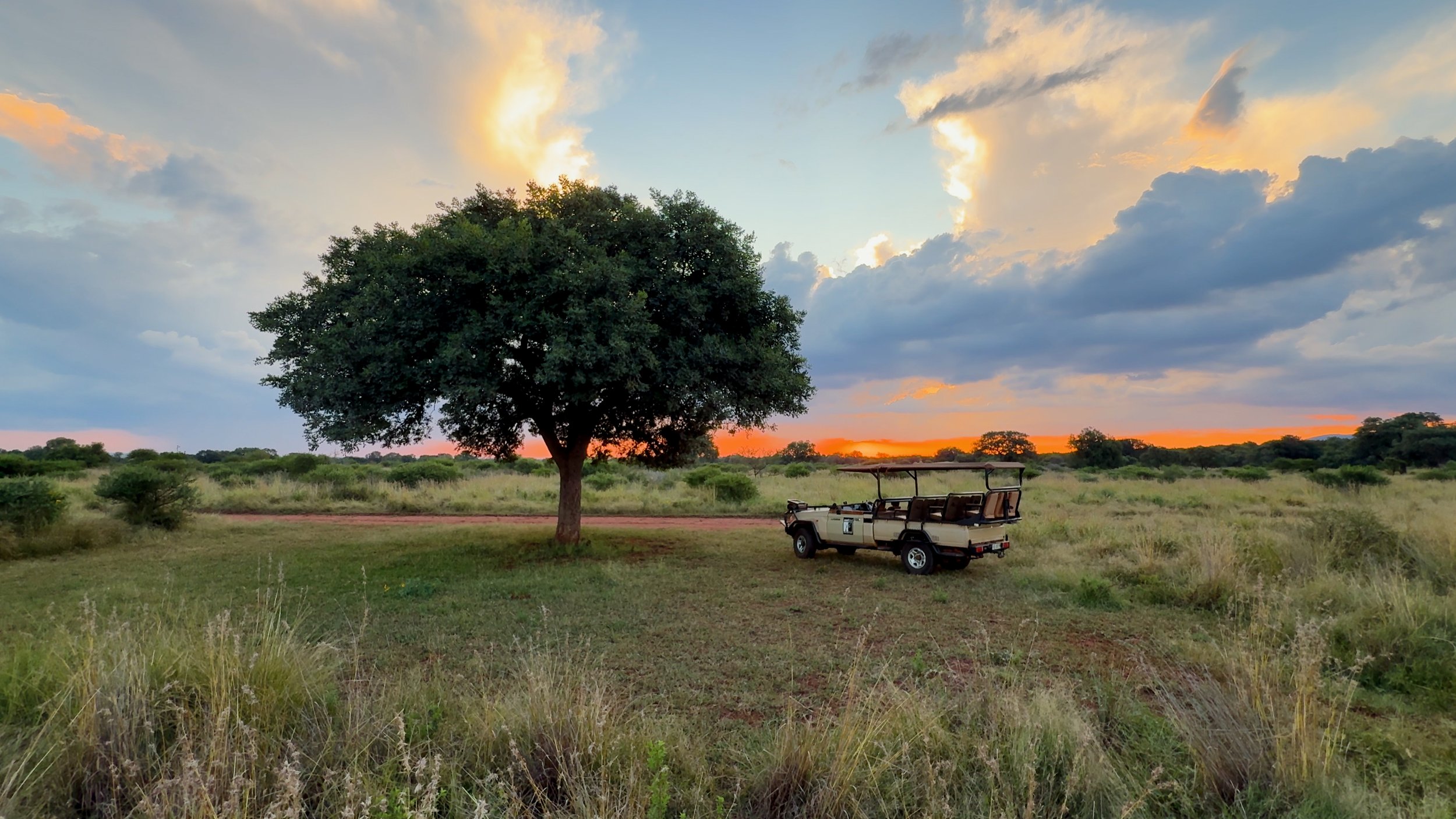 A landscape with a large green tree, a safari vehicle with open sides parked nearby, and a colorful sunset sky with clouds and orange hues in the background.