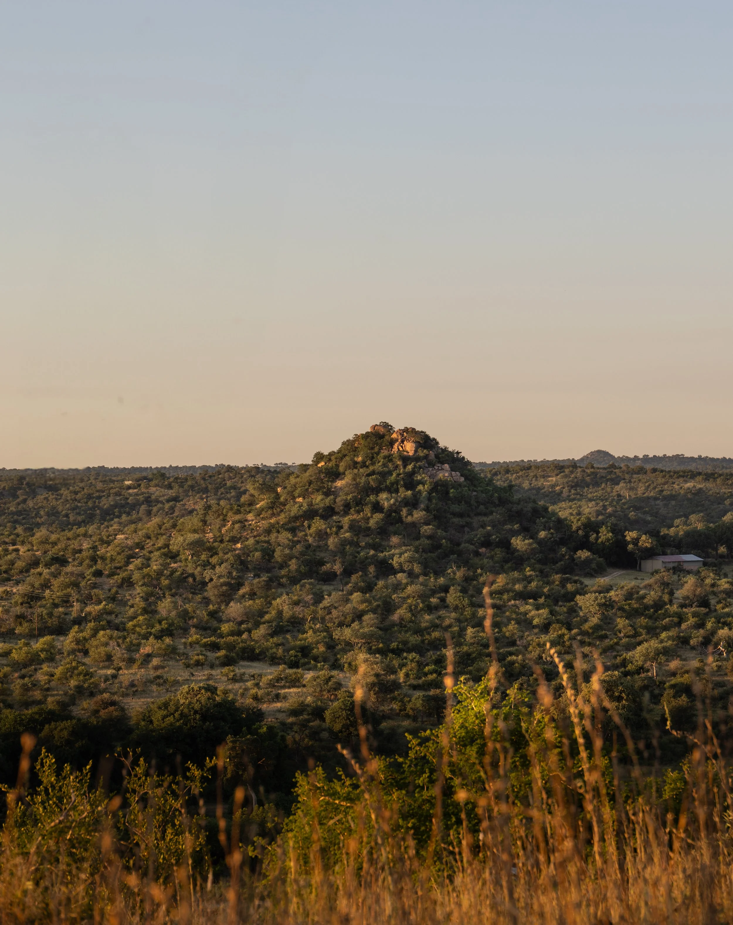 A scenic landscape showing a hill covered with trees and shrubs, with a small building nearby, under a clear sky at sunset.