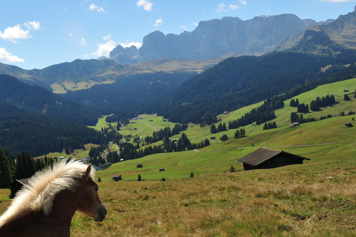 Alpe di Siusi Guide: Where to stay, best Walks, and what to Expect