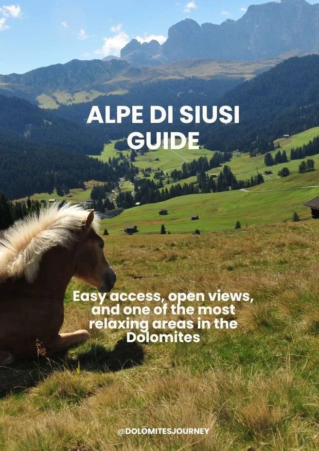 Alpe di Siusi meadow with horse and mountain backdrop in the Dolomites