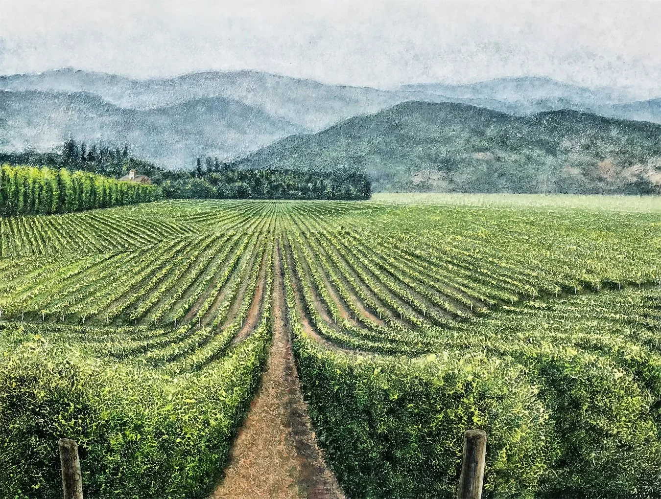 Sangiovese