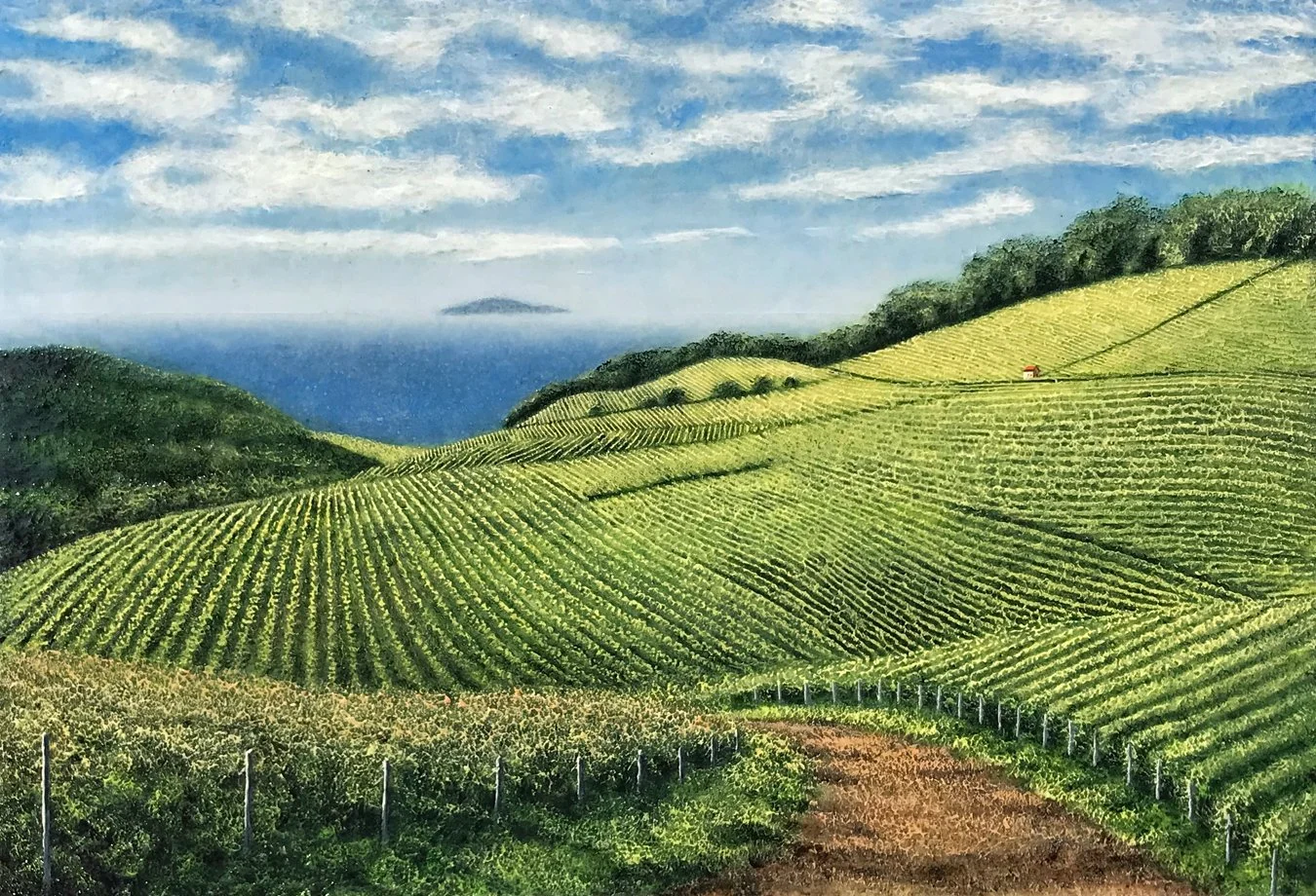 Vista di Ischia