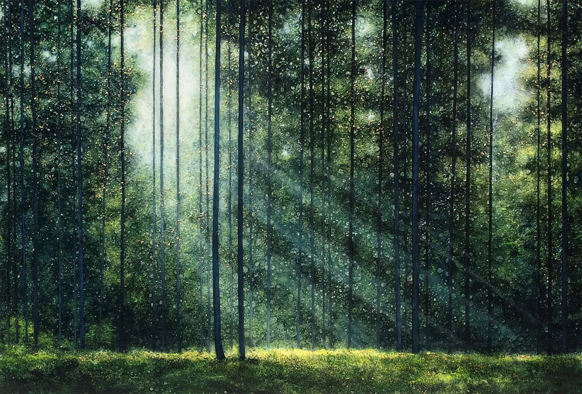 Morning in the Deep Woods