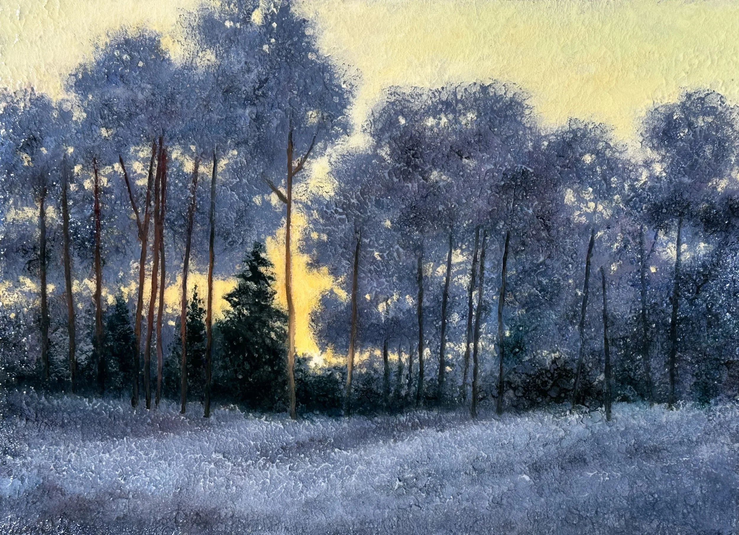Winter Morn
