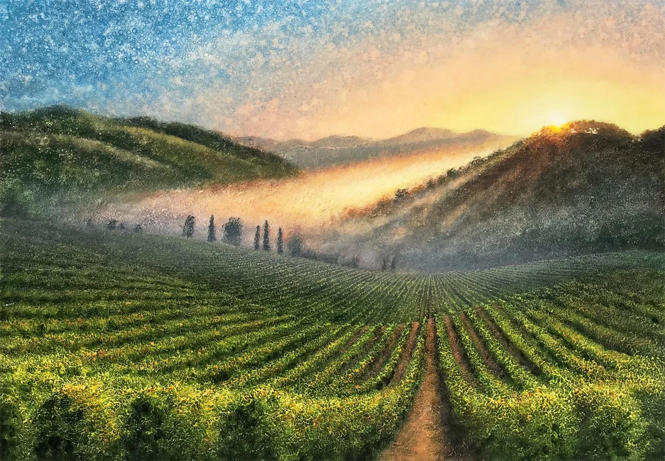 Zinfandel