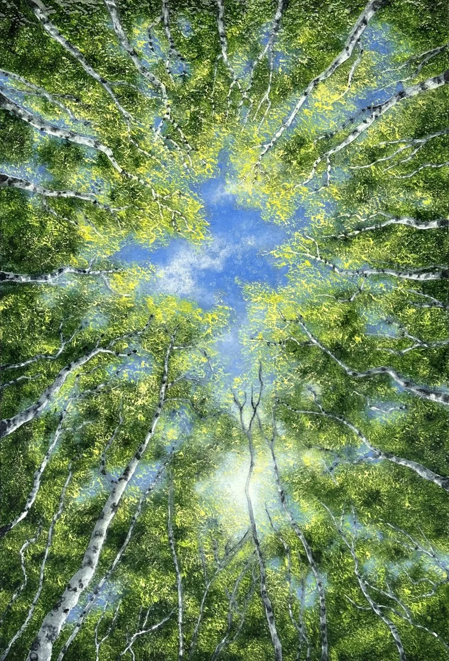 Birch Trees on a Summer Day