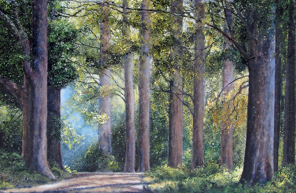 The Old Woods