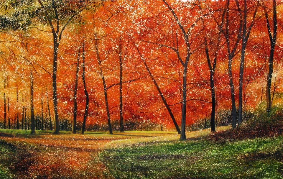 A Walk Through the Old Woods