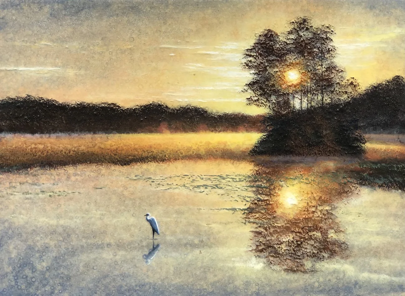 Egret on the Water