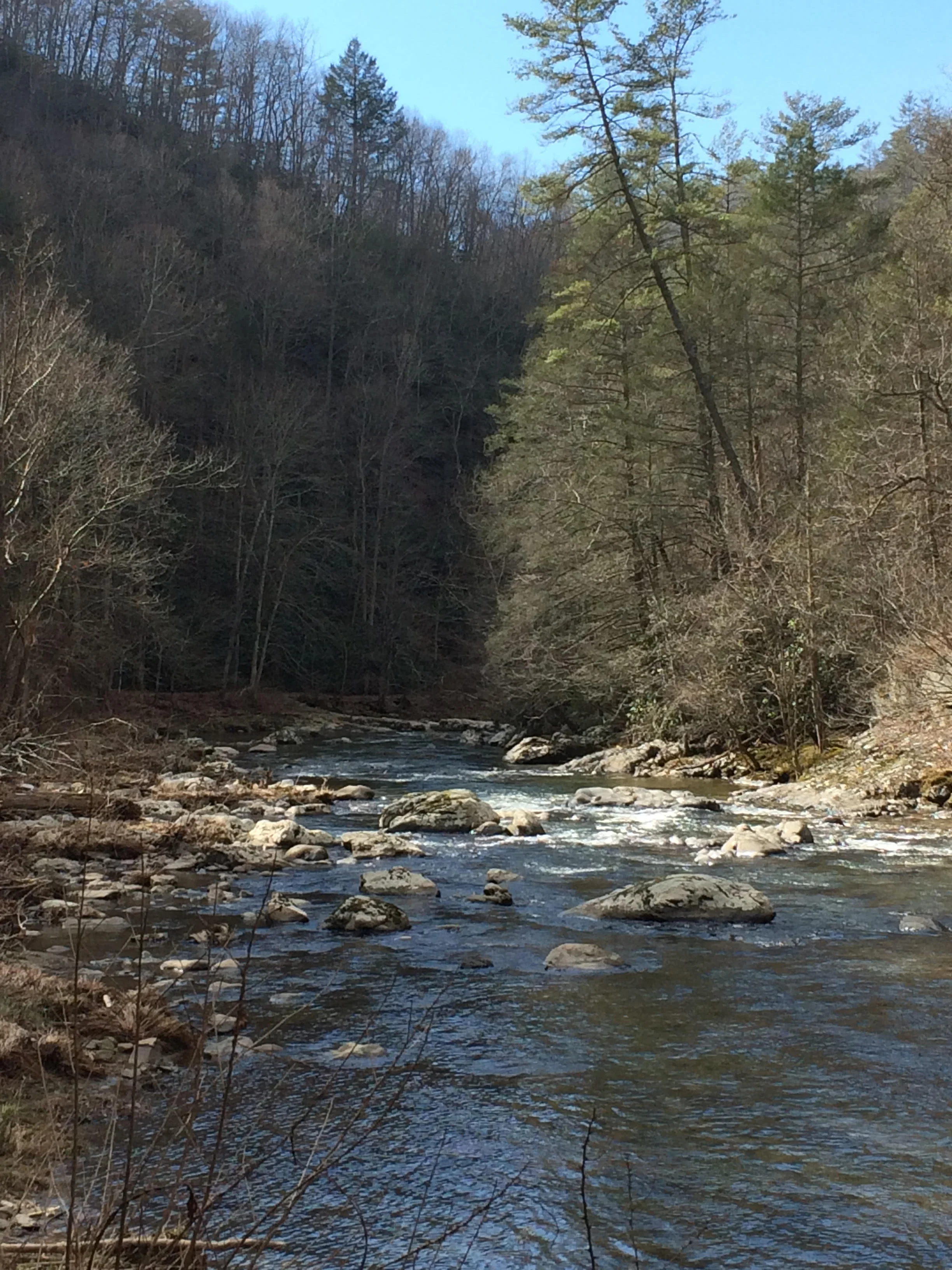 The Laurel River (near Hot Springs, NC)