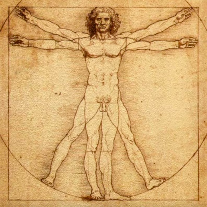 Leonardo da Vinci’s Vitruvian Man: a nude male figure shown in two superimposed poses, with arms and legs extended, inscribed within a circle and a square, illustrating ideal human proportions.