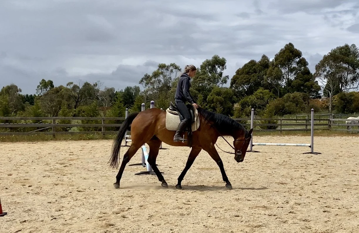 A woman riding a brown horse in an outdoor riding arena with trees and cloudy sky in the background.