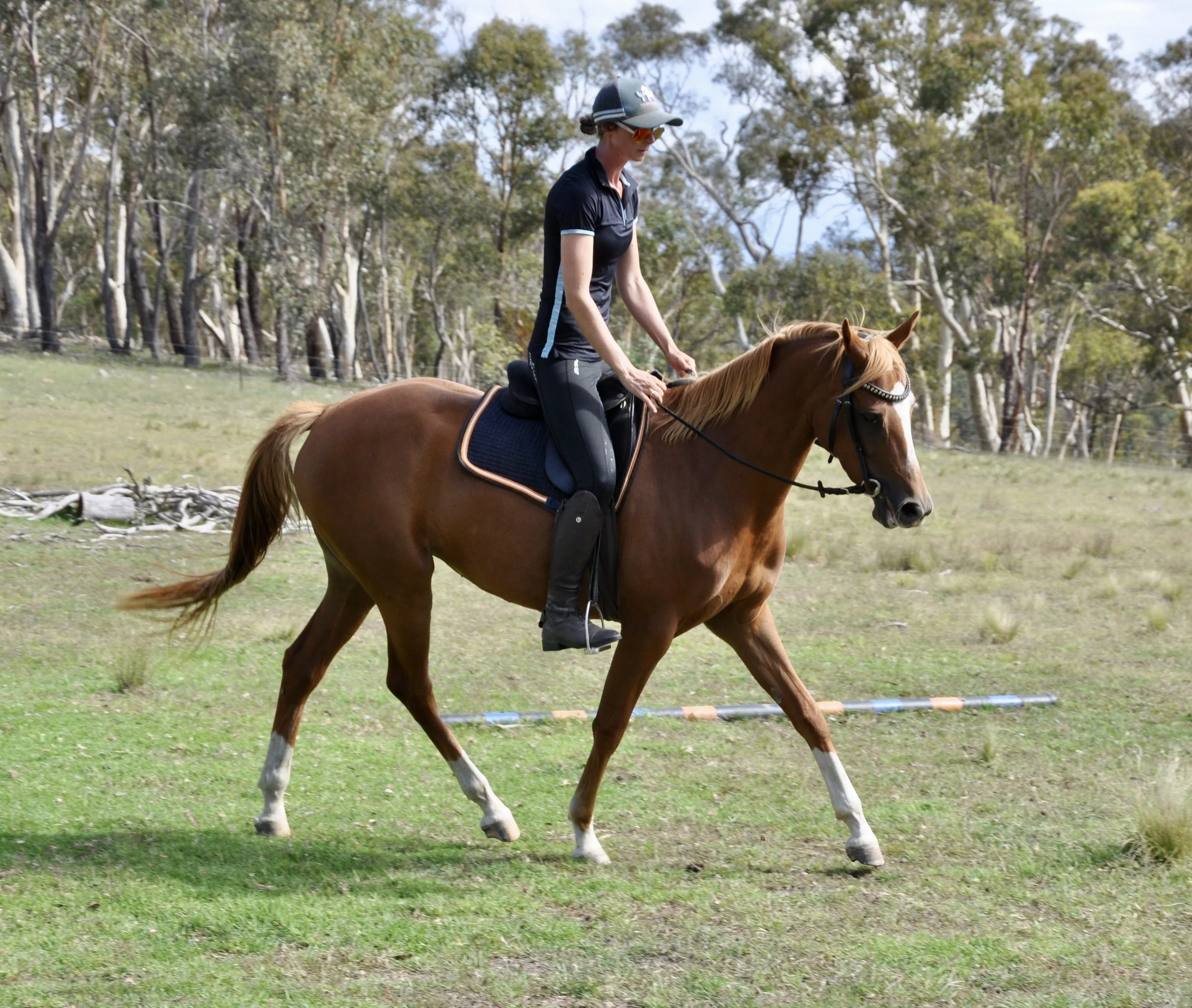 A woman riding a horse in an open field with trees in the background.