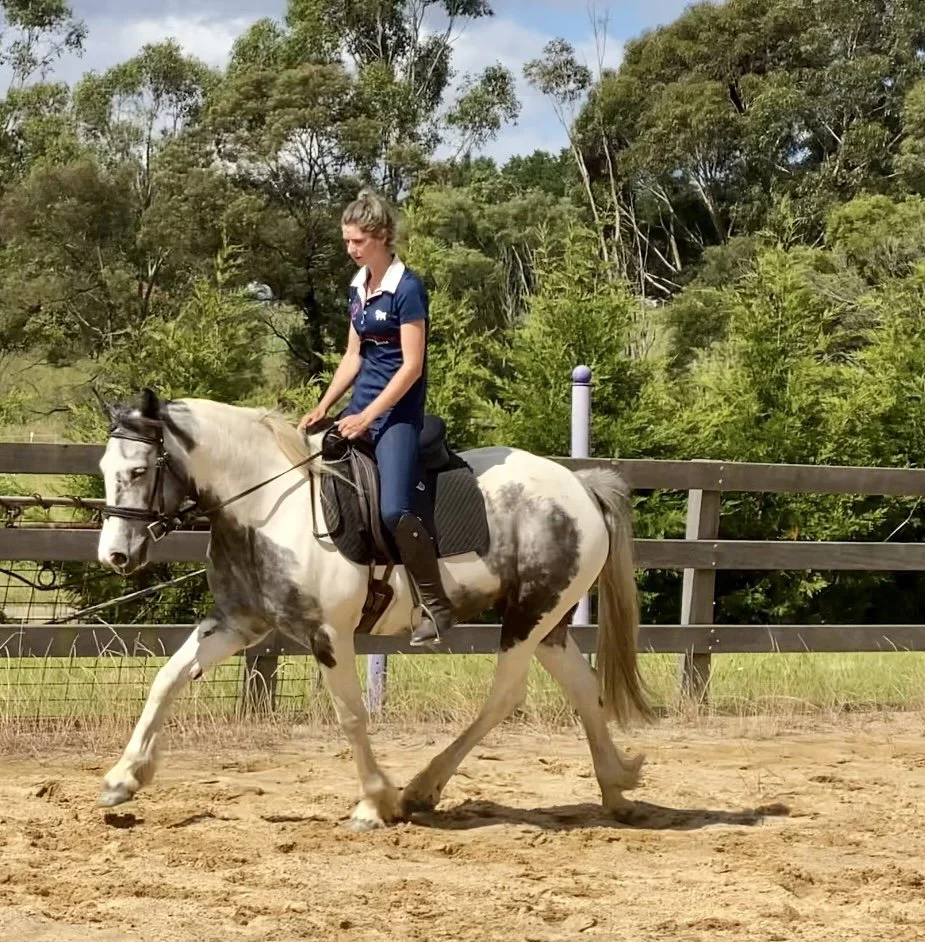 A girl riding a white and gray-spotted horse in an outdoor riding arena with a wooden fence and green trees in the background.