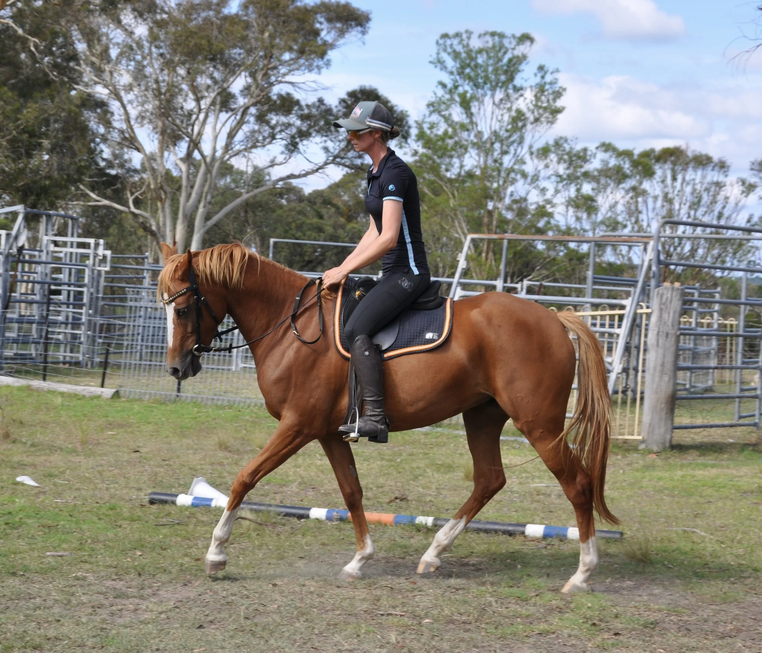 A person riding a chestnut horse on a grassy field with trees and metal fencing in the background.