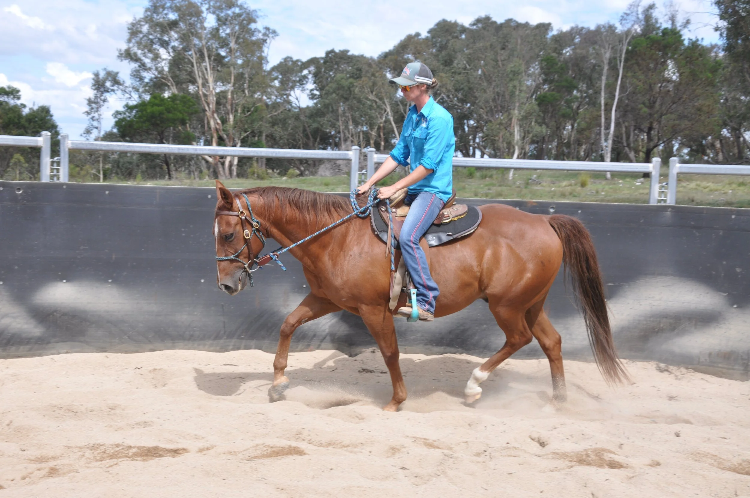 A woman riding a chestnut horse in an outdoor arena, with sand footing and a green tree-lined background.