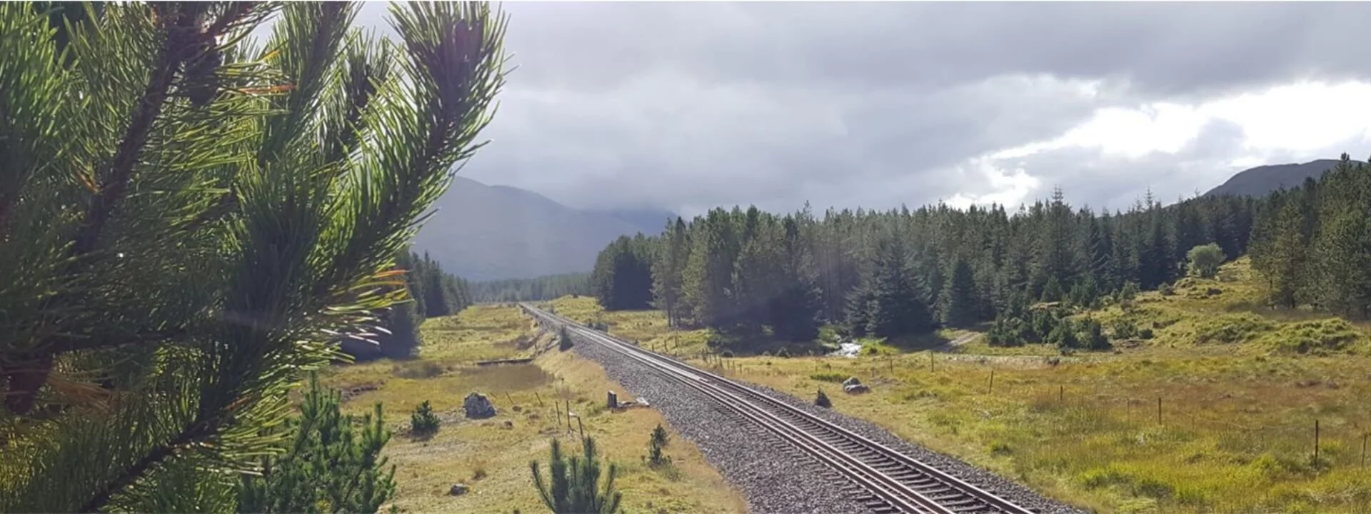 Barracks Rail Crossing, Perthshire – Geotechnical Investigation for Forestry